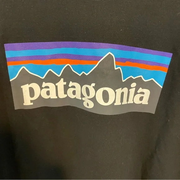 Patagonia Long Sleeve P-6 Logo Responsibili-Tee T-Shirt Size L - Picture 8 of 8
